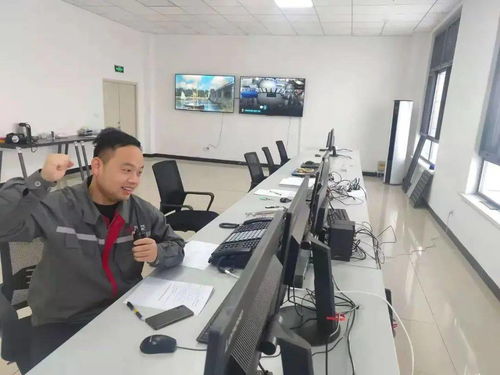 驕傲 丨中國(guó)中車首個(gè)風(fēng)電場(chǎng)一次送電成功 技術(shù)開(kāi)發(fā)及技術(shù)服務(wù)