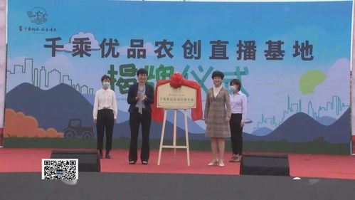 呂藝鎮(zhèn)啟動(dòng)紅色高家渡文化旅游暨萬(wàn)壽菊賞花活動(dòng)，以花為媒深化文化藝術(shù)交流